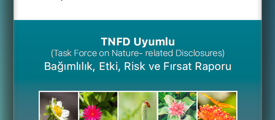 Kaptan Demir Çelik TNFD Raporu 2025