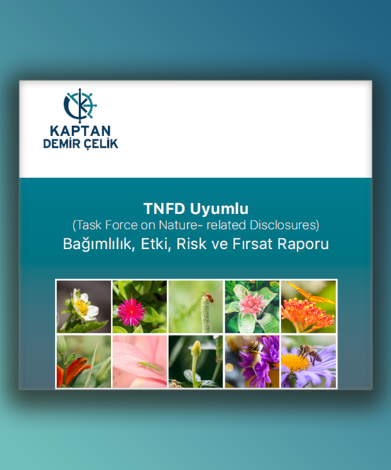 Kaptan Demir Çelik TNFD Raporu 2025