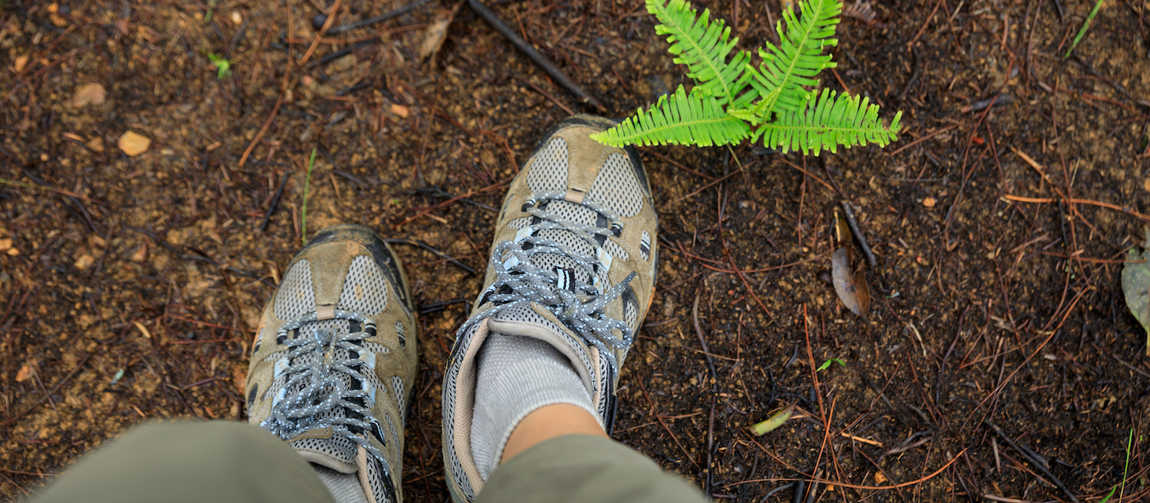 Karbon Ayak İzi Hesaplama Rehberi Kurumsal Sürdürülebilirlik Ve Stratejik Yönetim (1)