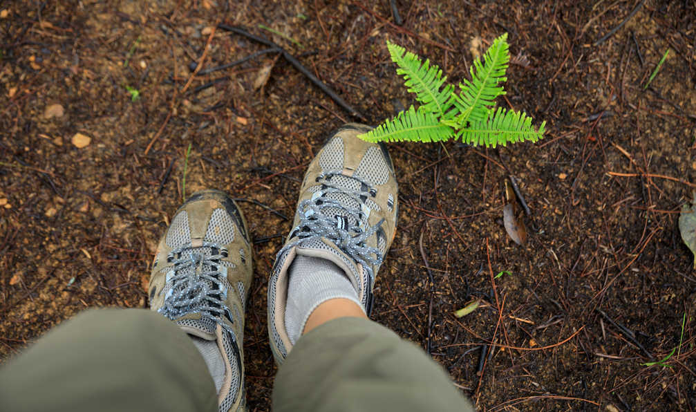 Karbon Ayak İzi Hesaplama Rehberi Kurumsal Sürdürülebilirlik Ve Stratejik Yönetim (1)