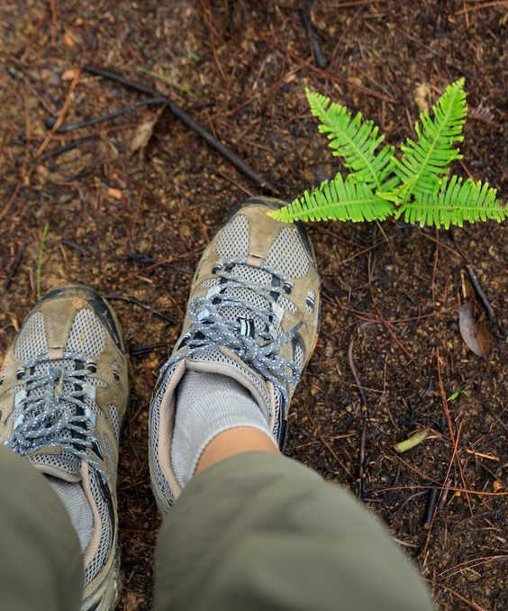 Karbon Ayak İzi Hesaplama Rehberi Kurumsal Sürdürülebilirlik Ve Stratejik Yönetim (1)