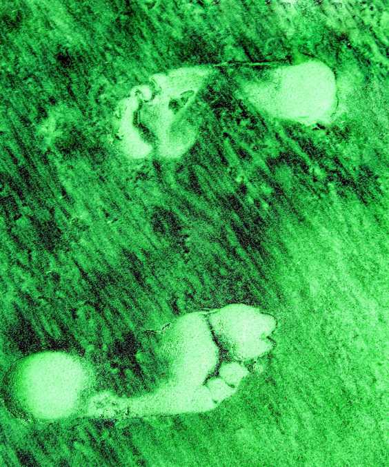 Tedarik Zinciri Yönetiminde Ürün Karbon Ayak İzi Hesaplama (LCA) Ve Sürdürülebilir Rekabet