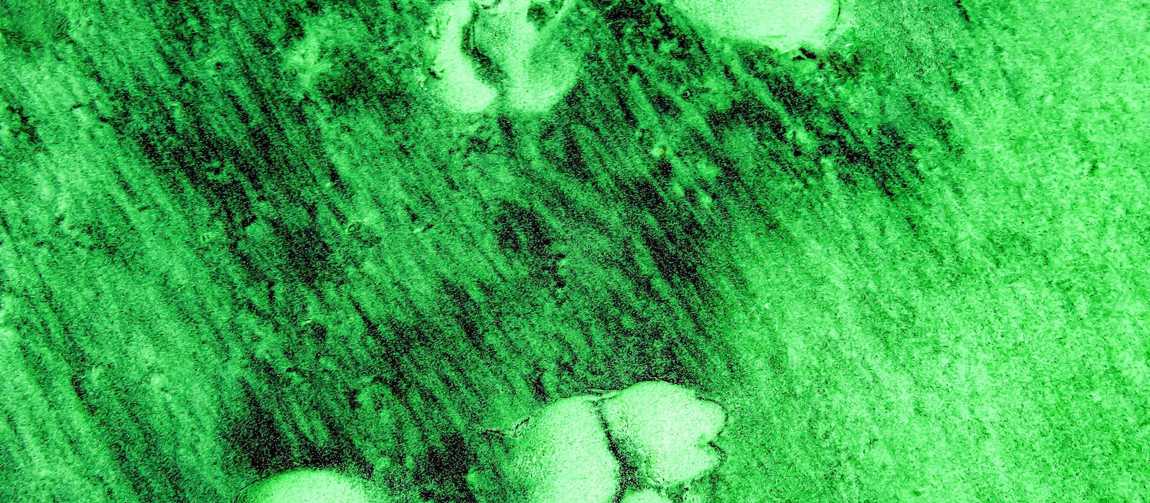 Tedarik Zinciri Yönetiminde Ürün Karbon Ayak İzi Hesaplama (LCA) Ve Sürdürülebilir Rekabet