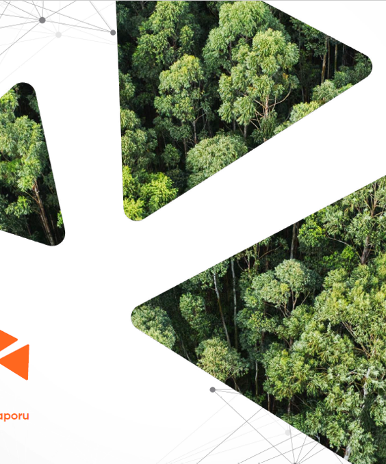 10. GDZ Elektrik Sürdürülebilirlik Raporu 2024