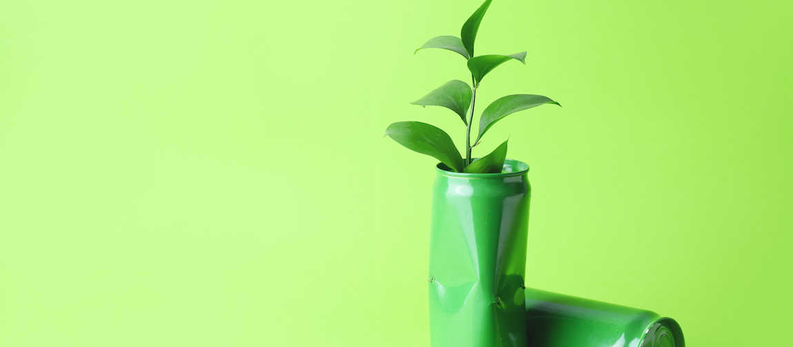 Yeşil Aklamaya (Greenwashing) Karşı Kurumsal Şeffaflık: EPD Belgesi Nedir Ve Nasıl Alınır?