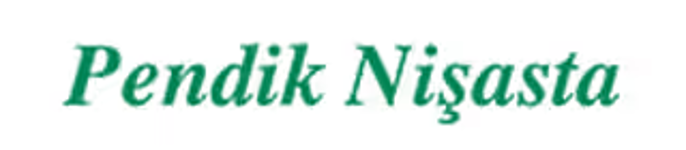 PNS Pendik Nişasta