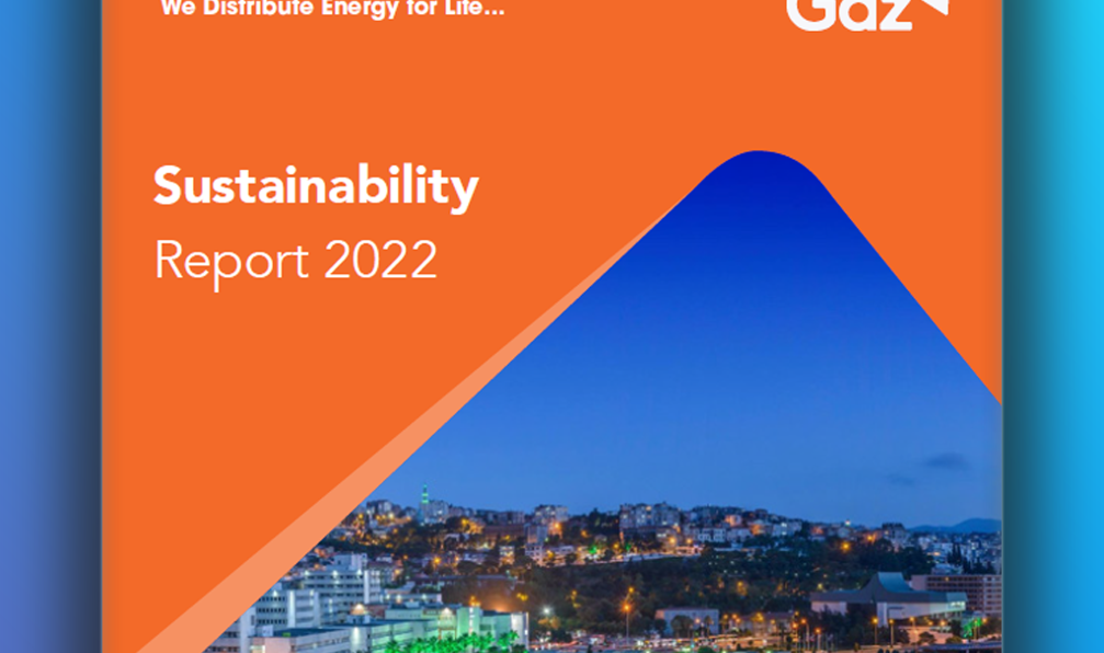 GDZ Electricity Sustainability Report 2022
