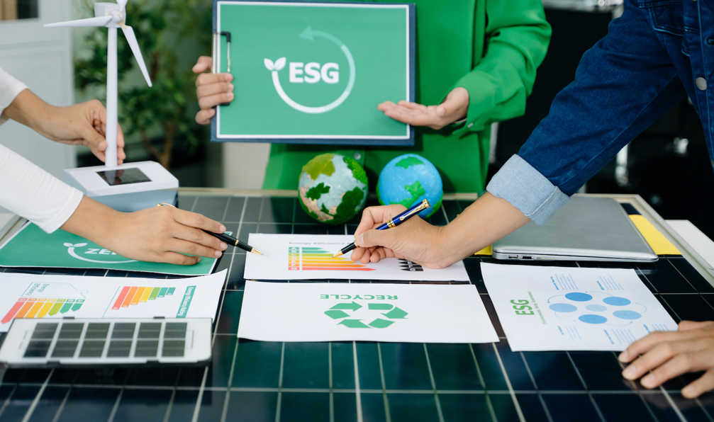 Sürdürülebilirlik Danışmanlığı Esg Kapsamı Ve Hizmet Alanları