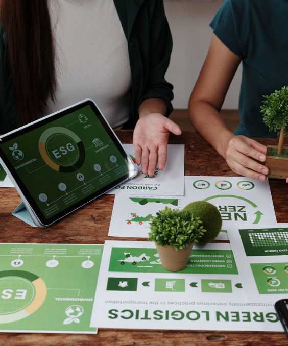 Sürdürülebilirlik Raporlamasının Stratejik Rolü