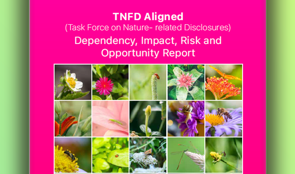 Kaptan Demir Çelik TNFD Report 2025