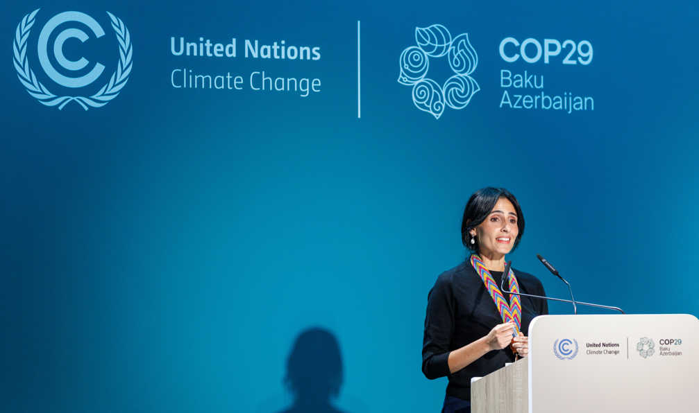 COP 29
