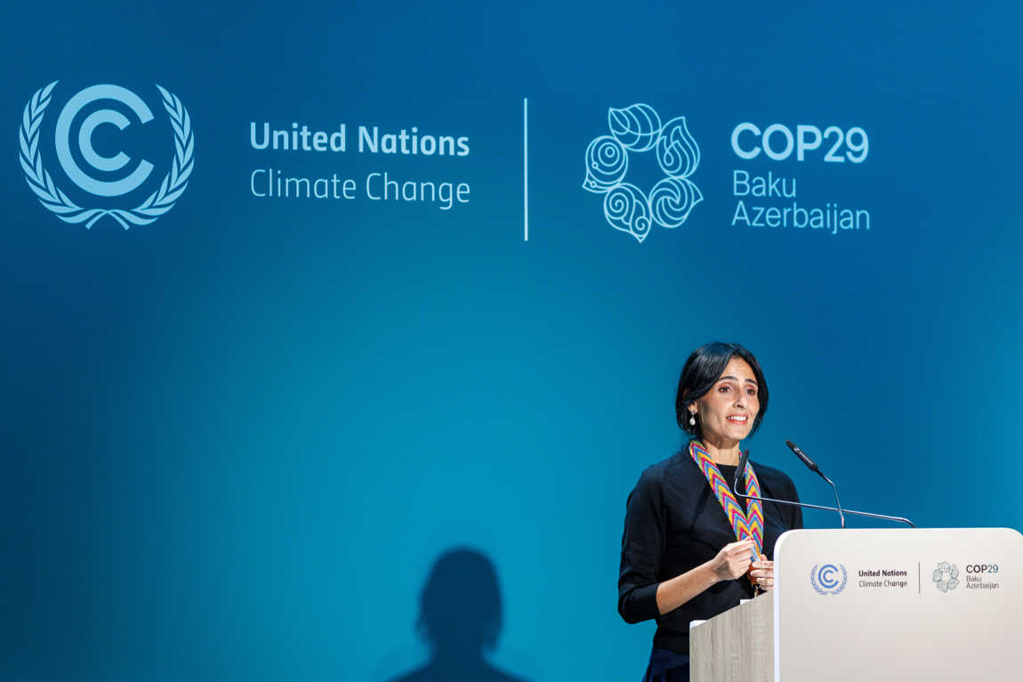 COP 29