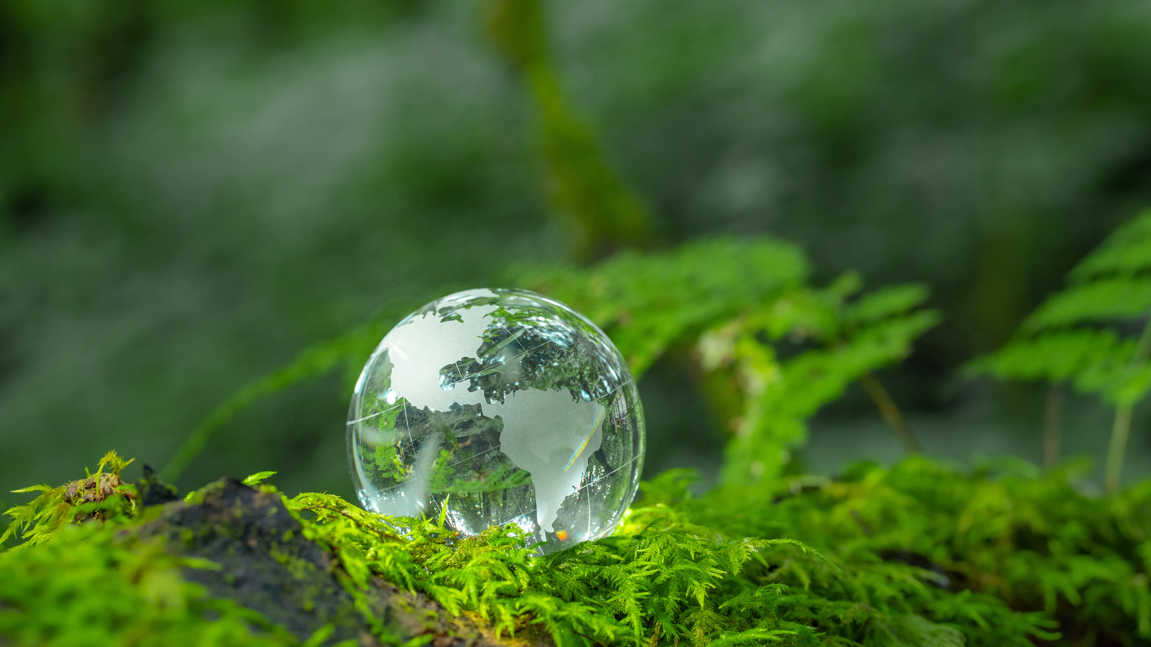 Crystal Globe Placed On Moss Esg Concept For Environment