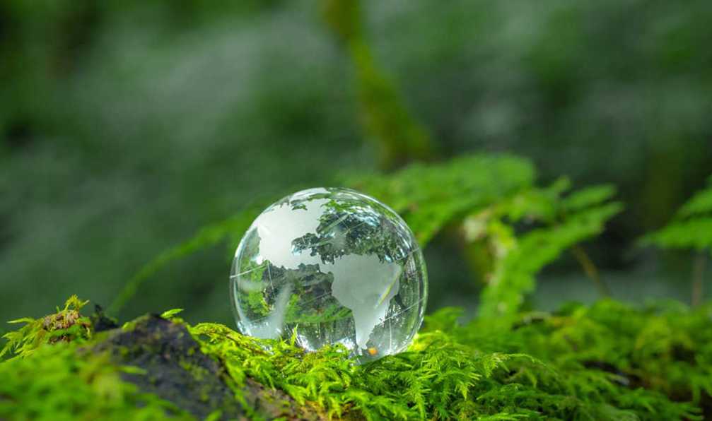 Sbti Kurumsal Net Sıfır Standardı V2.0 Taslağı Temel Güncellemeler